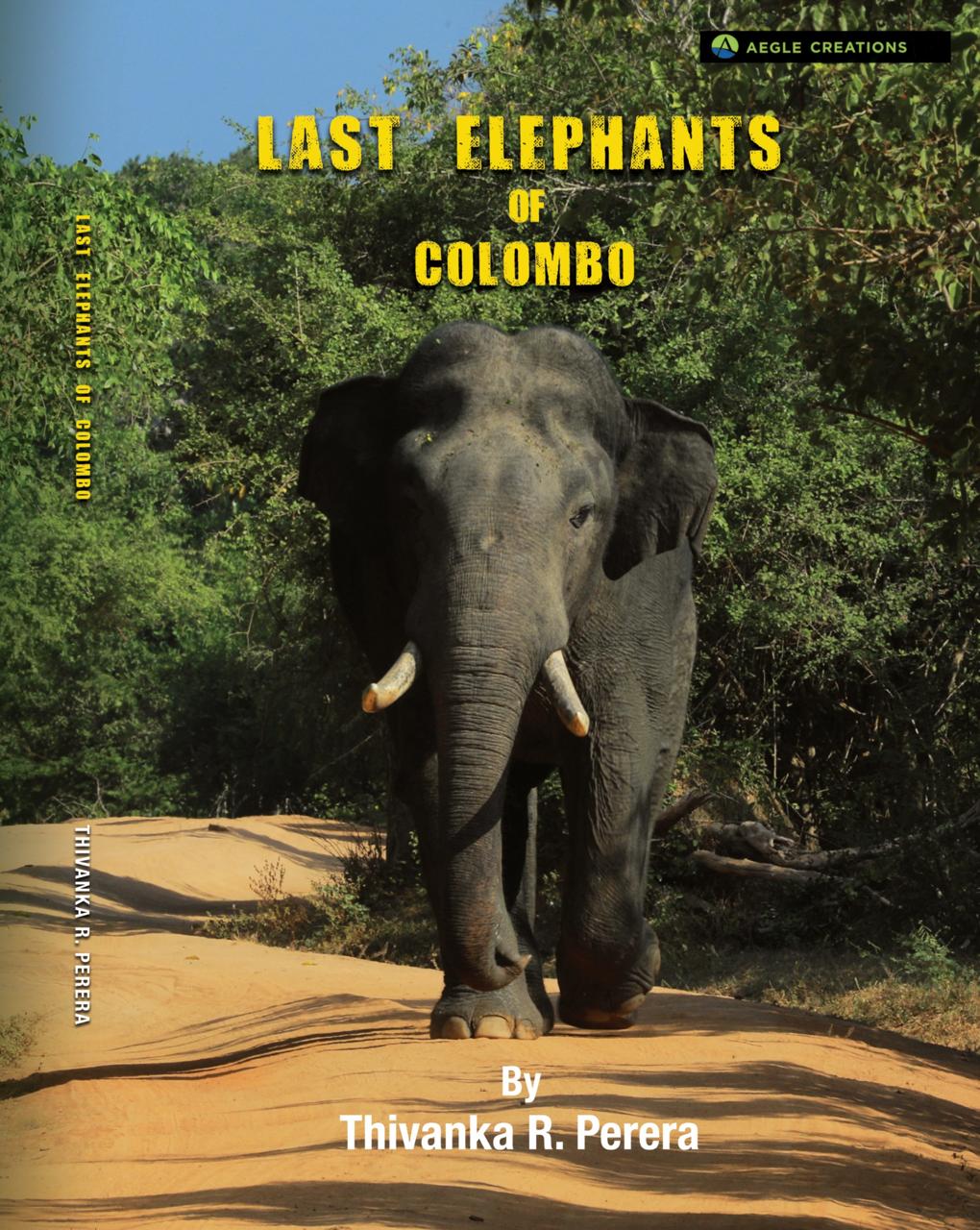 Last Elephants of Colombo